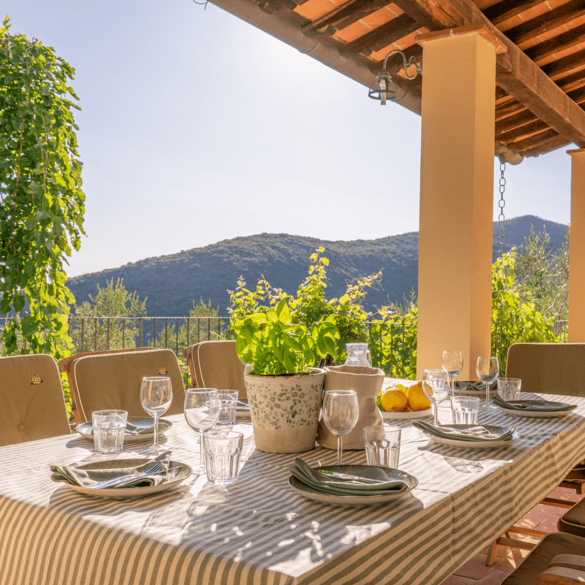 Terras Tenuta del Serra